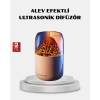 CEYLAN ADAM 280ml Alev Işıklı Ultrasonik Hava Nemlendirici Sessiz ve USB Şarjlı
