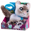 CEYLAN ADAM Wag-A-Lots Kedi 28059