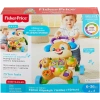 Fisher Price Eğitici Köpekçik Yürüteç Türkçe FTG10