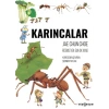 Karıncalar