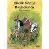 Küçük Findus Kaybolunca