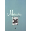 Meteorlar