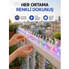 Mey İthalat® 5 Metre Şeffaf Kablo LED Peri Işığı 50 Ampullü Dekoratif Led
