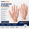 Mey İthalat® Akupunktur EL Maketi
