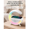 Mey İthalat® Kablosuz Şarjlı Bluetooth Hoparlör ve Gece Lambası – NFC, FM Radyo, RGB Işık