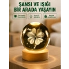 Mey İthalat® Yonca Figürlü Cam Küre USB Işıklı Ahşap Tabanlı Dekoratif Masa Lambası
