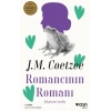 Romancının Romanı