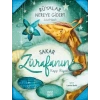 Rüyalar Nereye Gider?