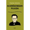 Schrödinger Plajda