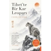 Tibet’te Bir Kar Leoparı