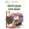 Tomurcuk 4-Kente Gelen Çam Ağacı
