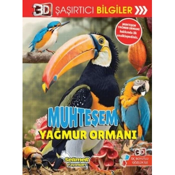 3D Şaşırtıcı Bilgiler - Muhteşem Yağmur Ormanı