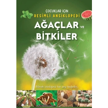 Ağaçlar ve Bitkiler