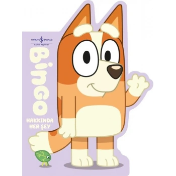 Bingo Hakkında Her Şey