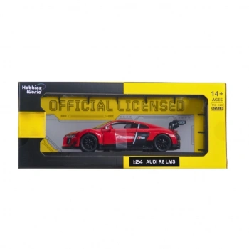 CEYLAN ADAM 1/24 Audi R8 LMS Model Araba