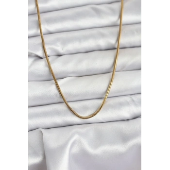 CEYLAN ADAM 316L Çelik Zincir Gold Renk 60 cm Yılan Zincir Kadın Kolye