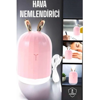 CEYLAN ADAM Aromaterapi Hava Temizleyici Buhar Makinesi Taşınabilir Şarjlı