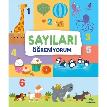 CEYLAN ADAM Sayıları Öğreniyorum