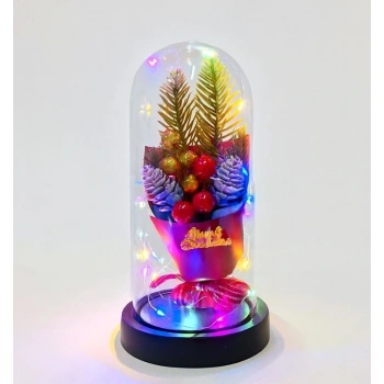 CEYLAN ADAM Yılbaşı Temalı Işıklı  Dekoratif Cam Fanus Alk5081