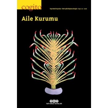 Cogito Aile Kurumu