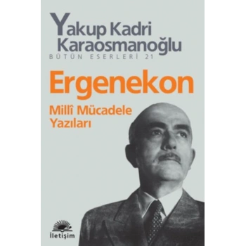 Ergenekon  Milli Mücadele Yazıları