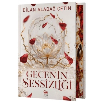 Gecenin Sessizliği