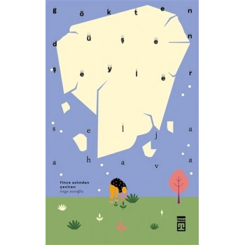 Gökten Düşen Şeyler