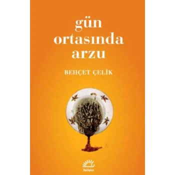 Gün Ortasında Arzu
