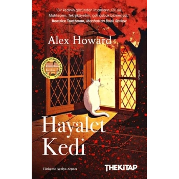 Hayalet Kedi