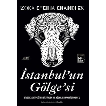 İstanbulun Gölgesi