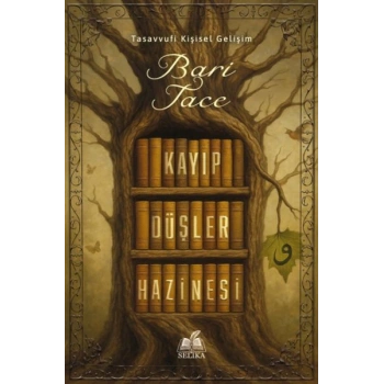 Kayıp Düşler Hazinesi