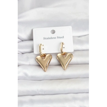Mey İthalat® 316L Çelik Gold Renk Kalp Modelli Kadın Küpe