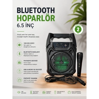 Mey İthalat® Bluetooth Hoparlör Mikrofonlu Taşınabilir Ses Sistemi FM Radyo, USB, SD Kart ve TWS Özellikli