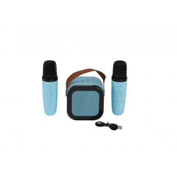 Mey İthalat® EMR-102 KUTULU 2Lİ KARAOKE MİKROFON