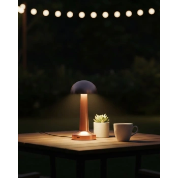 Mey İthalat® Modern Bronz Masa Lambası 3 Renk LED Dokunmatik Şarjlı Model