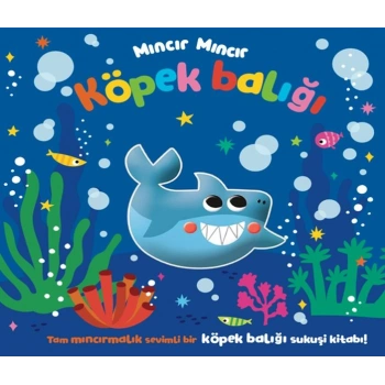 Mıncır Mıncır Köpek Balığı