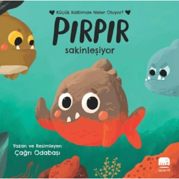 Pırpır Sakinleşiyor