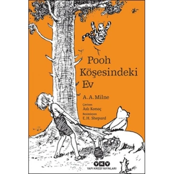 Pooh Köşesindeki Ev