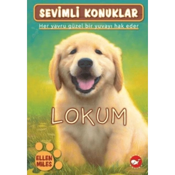 Sevimli Konuklar 1 - Lokum