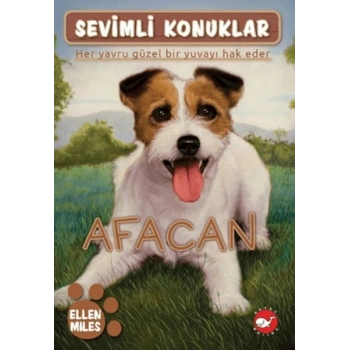 Sevimli Konuklar 4 -Afacan