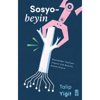Sosyobeyin