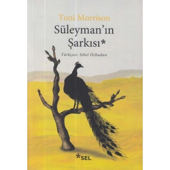 Süleyman’ın Şarkısı