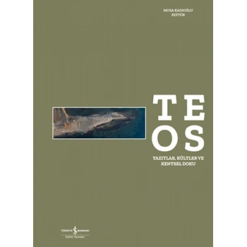 Teos - Yazıtlar, Kültler ve Kentsel Doku