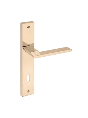 DENİZLİ-KK140 Aynalı Kapı Kolu