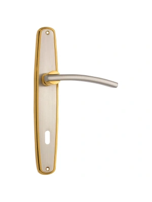 ELİT-21 Aynalı Kapı Kolu