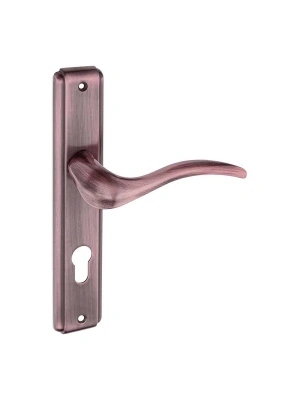 ESKİŞEHİR-KK240 Aynalı Kapı Kolu