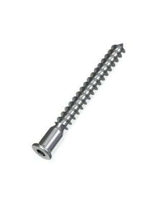 KABİN VİDASI (ALLEN BAŞLI SİVRİ)