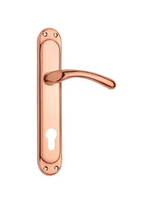 LALE-115 Aynalı Kapı Kolu