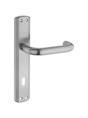 MECLİS-139 Aynalı Kapı Kolu