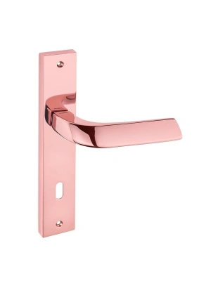 PRO MASSİMO-1022 Aynalı Kapı Kolu